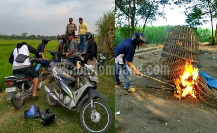 Petugas saat mengamankan 6 sepeda motor milik penjudi sabung ayam