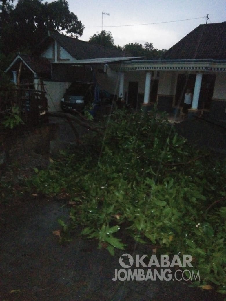 Hujan disertai angin kencang yang melanda desa Gongseng mengakibatkan beberapa pohon tumbang
