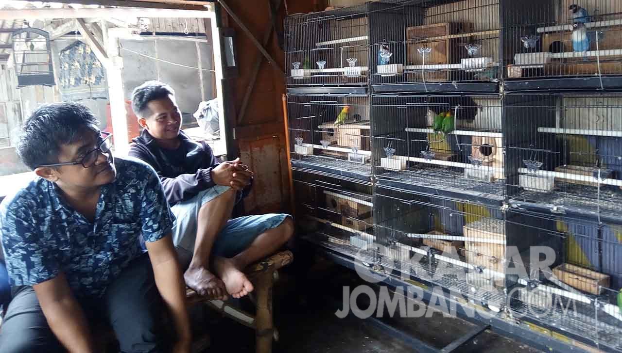 Virus Corona Juga ‘Pukul’ Pedagang Burung di Jombang - Kabar Jombang