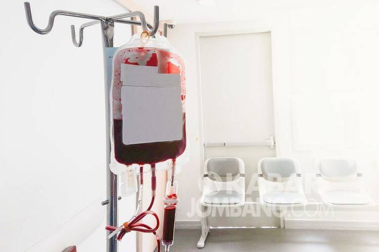 Ilustrasi donor darah.(Shutterstock)