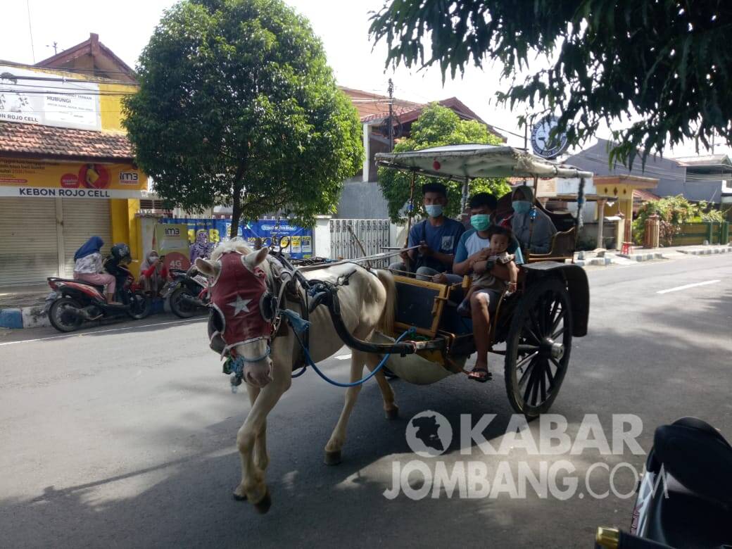 Naik dokar keliling Kota Jombang, Minggu (17/1/2021). KabarJombang.com/Diana Kusuma/
