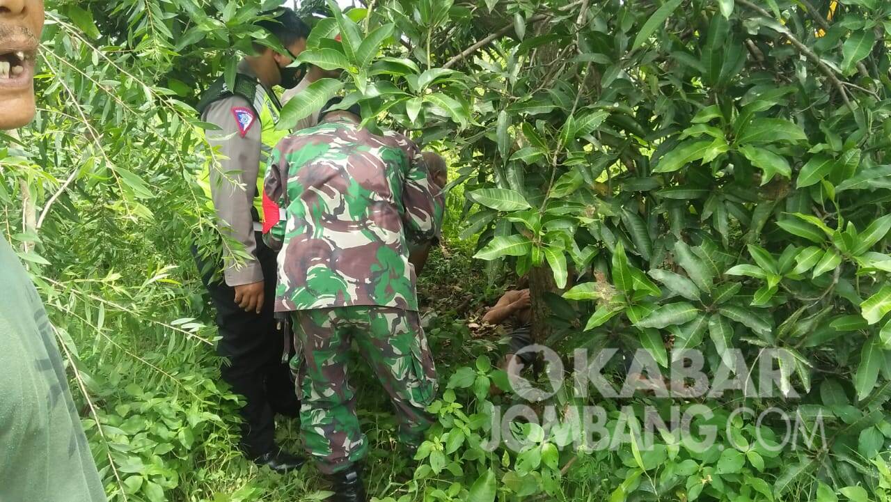 Evakuasi percobaan bunuh diri di lahan milik perhutani Dusun Gedangan, Desa Kedunglumpang, Kecamatan Mojoagung, Kabupaten Jombang, Rabu (20/1/2021). KabarJombang.com/Daniel Eko/