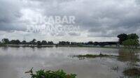 Areal persawahan di Desa Segodorejo Kecamatan Sumobito, Kabupaten Jombang, terendam banjir. KabarJombang.com/Daniel Eko/