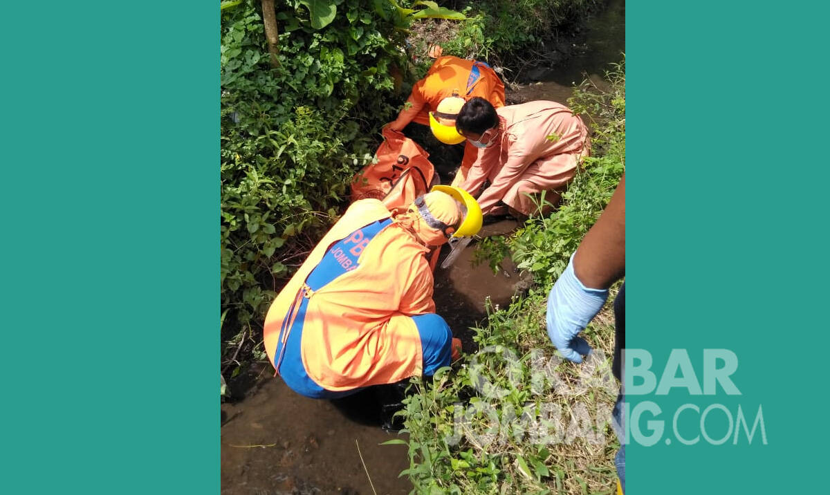 Proses evakuasi korban meninggal di parit Desa Pulorejo, Kecamatan Ngoro, Kabupaten Jombang, Kamis (21/1/2021). KabarJombang.com/Istimewa/
