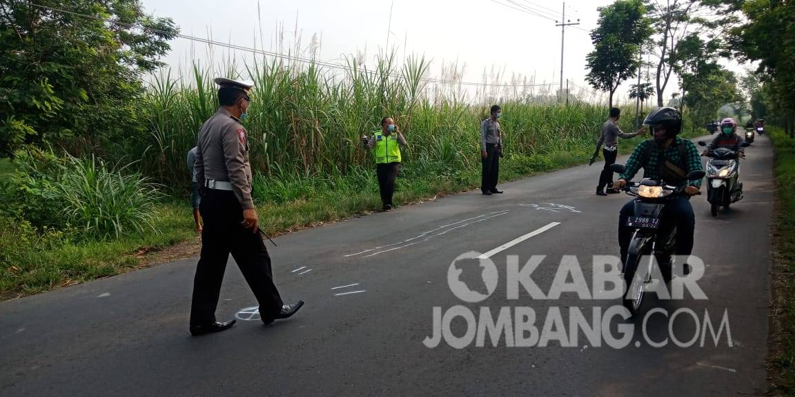 Polisi melakukan olah TKP kecelakaan di Pulorejo, Ngoro, Kabupaten Jombang.