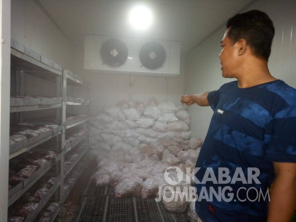 Salah satu tempat penyimpanan produk ayam milik distributor di Desa Sidomulyo, Megaluh, Jombang. KabarJombang.com/Diana Kusuma/