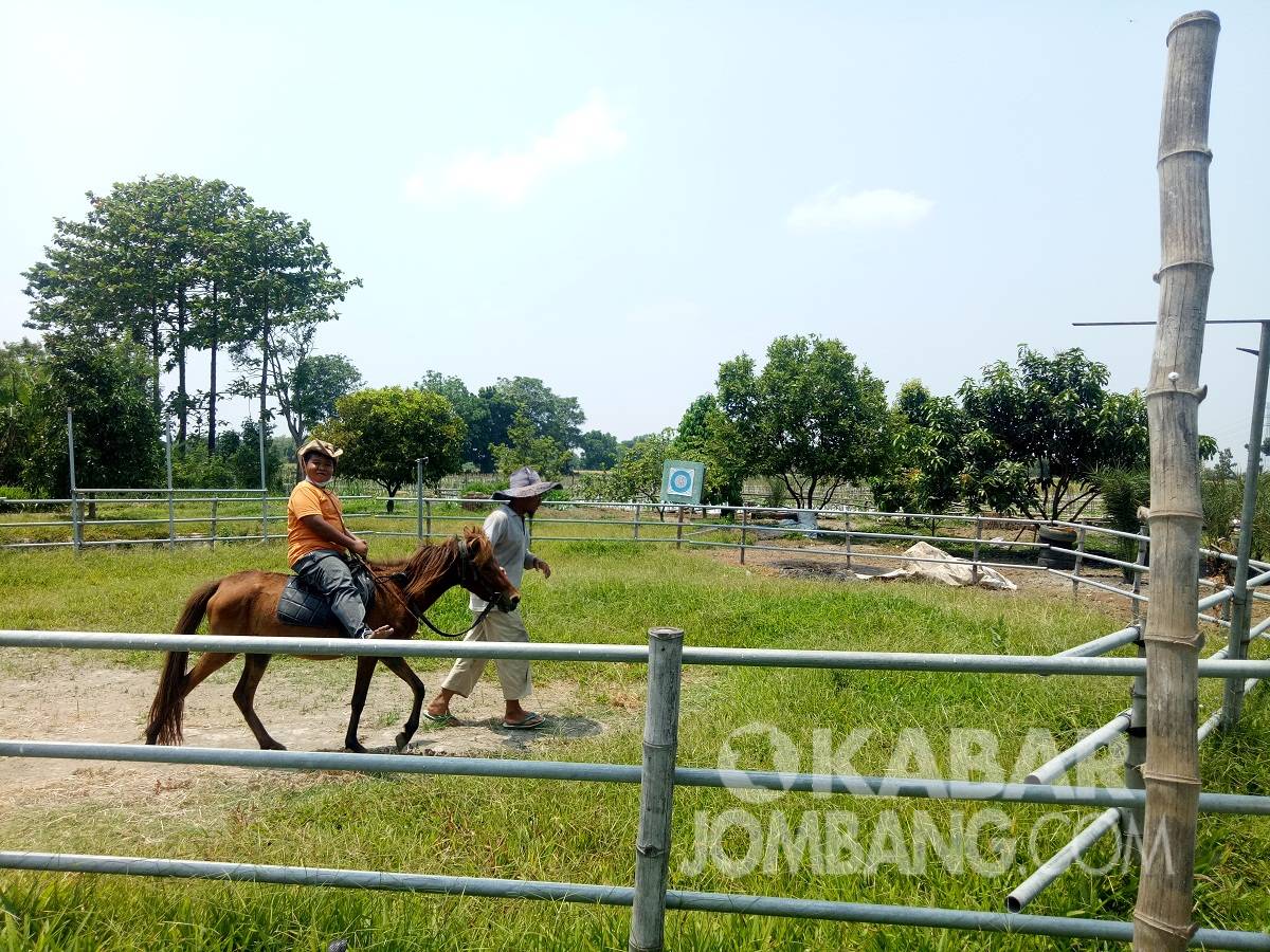 Pengunjung saat menunggang kuda di Gempolpait, Banjardowo, Jombang, Minggu (17/10/2021). KabarJombang.com/Diana Kusuma Negara/