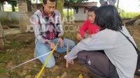 BPCB Jatim Mulai Ekskavasi Situs Pandegong Jombang
