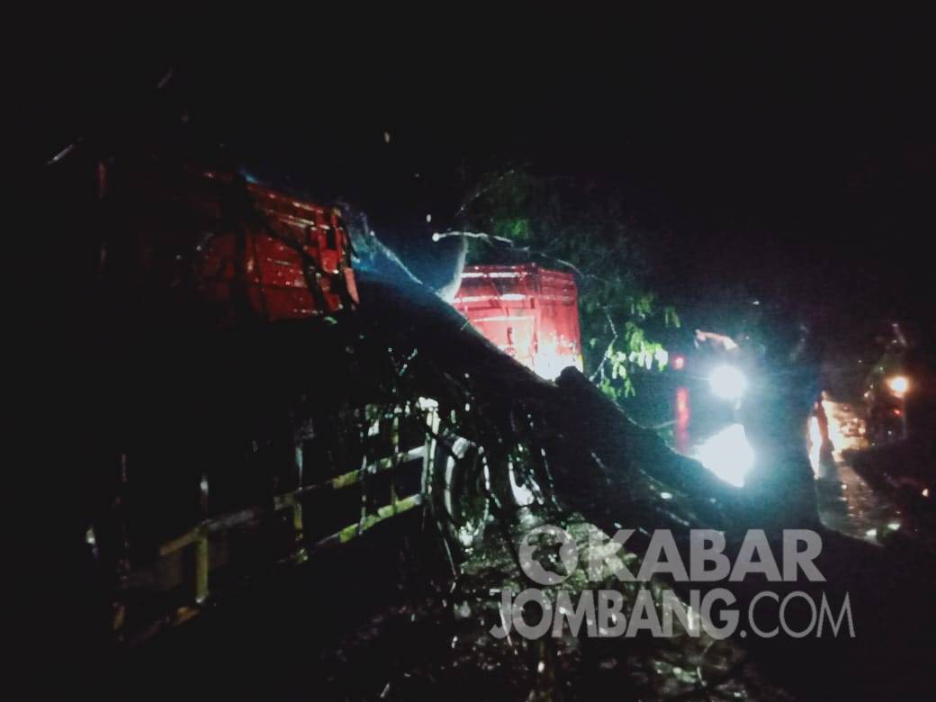 Truk tertimpa pohon tumbang di Jalan Raya Desa Jombok, Kecamatan Ngoro, Kabupaten Jombang, Rabu (8/12/2021) malam.