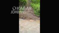 Pembuangan Limbah di Sungai Desa Ngrimbi, DLH Jombang Turun Tangan