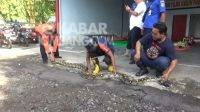 Petugas mengamankan ular piton sepanjang empat meter di Kantor Damkar Kabupaten Jombang, Jawa Timur, Rabu (2/2/2022).