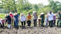 Kapolres Jombang, AKBP Eko Bagus Riyadi bersama Anggota Forkopimda tanam jagung di Kecamatan Tambelang.(istimewa).