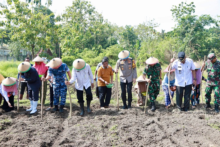 Kapolres Jombang, AKBP Eko Bagus Riyadi bersama Anggota Forkopimda tanam jagung di Kecamatan Tambelang.(istimewa).