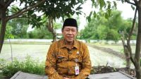 pertanian