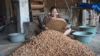 Kacang goreng pasir