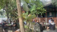 Teras Over Jombang