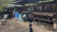Peternak kambing di Jombang