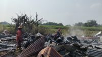 Kebakaran kandang ayam Jombang