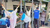Dishub Jombang sembelih 5 kambing kurban di Idul Adha 1447 H Dishub Jombang sembelih 5 kambing kurban di Idul Adha 1447 H