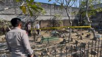 Polisi bongkar makam di Peterongan