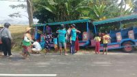 kereta kelinci