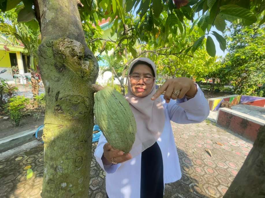 Kepala SMPN 1 Kudu, Srimudayani Dewi Astutik saat menunjukkan buah kakao yang tumbuh di lingkungan sekolah