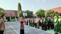 nuril smp