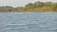 Sungai Brantas
