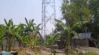 Tower BTS