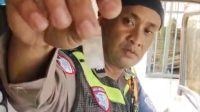 Sopir bawa sabu