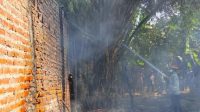 Kandang sapi terbakar
