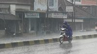 Hujan Mulai Mengguyur Wilayah Kabupaten Jombang Hujan Mulai Mengguyur Wilayah Kabupaten Jombang