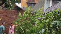 Rumah warga Dusun Sambiroto, Desa Plandaan, Jombang, rusak akibat diterjang angin puting beliung Rumah warga Dusun Sambiroto, Desa Plandaan, Jombang, rusak akibat diterjang angin puting beliung