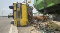 Truk pengangkut sapi yang alami laka hingga terguling di Jalan Raya Glagahan, Perak, Jombang Truk pengangkut sapi yang alami laka hingga terguling di Jalan Raya Glagahan, Perak, Jombang